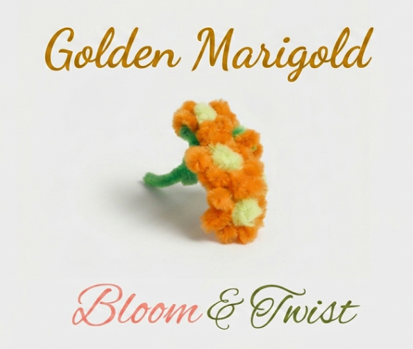 Golden Marigold