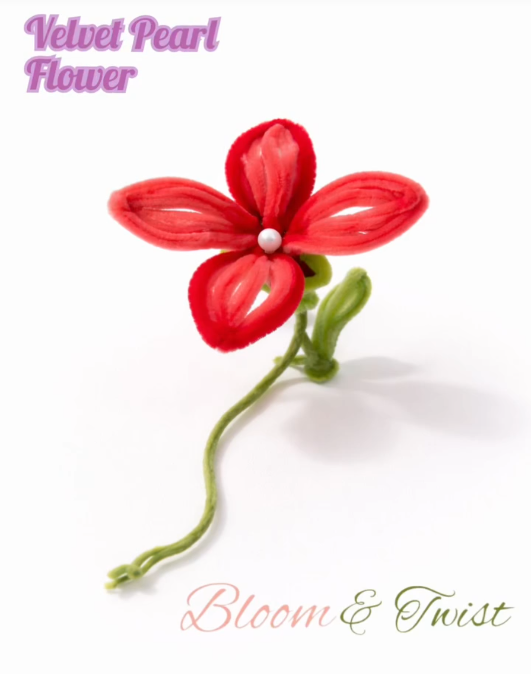 Velvet Pearl Flower
